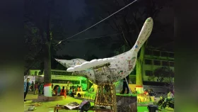 বাংলা বর্ষবরণে প্রস্তুত হচ্ছে জবি