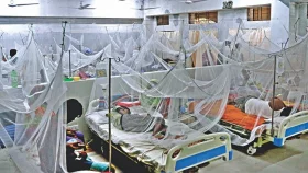 ডেঙ্গুর যেসব উপসর্গ দেখলেই হাসপাতালে যাবেন