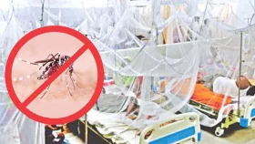 দেশে ২৪ ঘণ্টায় হাসপাতালে ভর্তি আরও ৫২৪ ডেঙ্গু রোগী