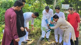'ভারসাম্যপূর্ণ ও দূষণমুক্ত পরিবেশ তৈরিতে দরকার বৃক্ষরোপণ'