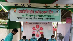 কোরবানির হাটে কাজ করছে শেকৃবির ৪৫ শিক্ষার্থী