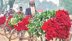ফুলের সুগন্ধে মেতে উঠেছে যশোর&nbsp;