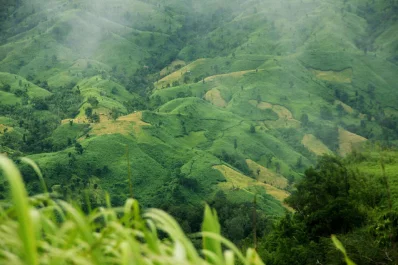 ছবি- সংগৃহীত