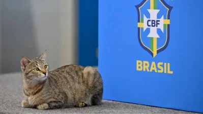 ব্রাজিলের সংবাদ সম্মেলনে বিড়ালছানা!