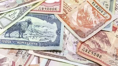একটি গ্রুপে আন্তর্জাতিক ট্রেকারদের এক হাজার নেপালি রুপি (প্রায় ৭ ডলার) ফি দিতে হয়।