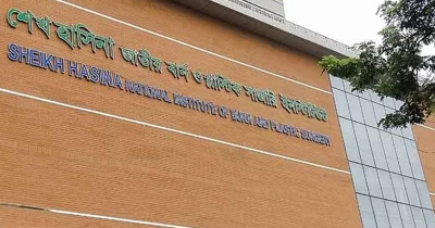 শেখ হাসিনা জাতীয় বার্ন অ্যান্ড প্লাস্টিক সার্জারি ইনস্টিটিউট। ফাইল ছবি
