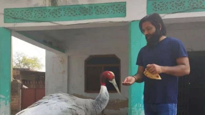 কৃষক মোহাম্মদ আরিফ গত বছর আহত সারসটিকে উদ্ধার করেছিলেন।