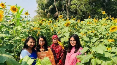 রায়পুরে সূর্যমুখী ফুলের সঙ্গে দাঁড়িয়ে ছবিও তুলছেন অনেকেই। ছবি: ইত্তেফাক 