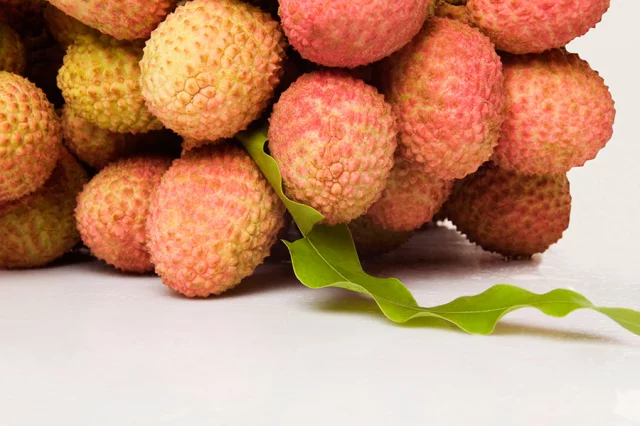 Lichi