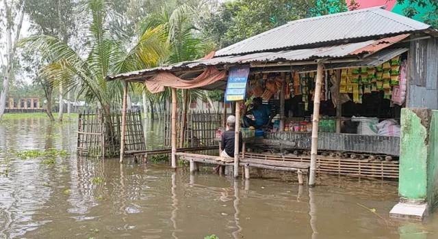 Flood-2