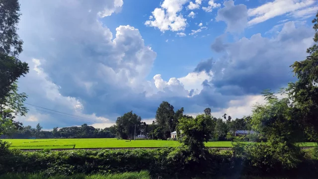 প্রকৃতি