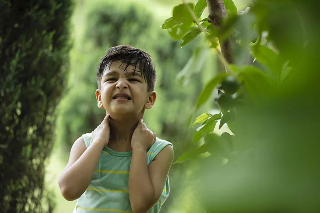 ডেঙ্গু