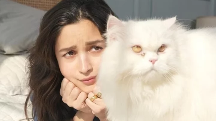 aliaa