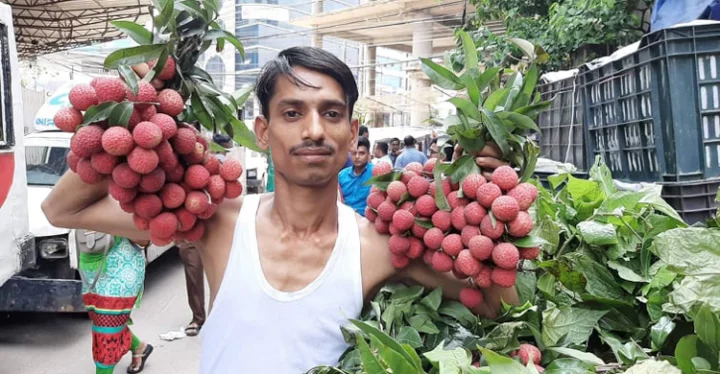 fruit-5-20190610170216