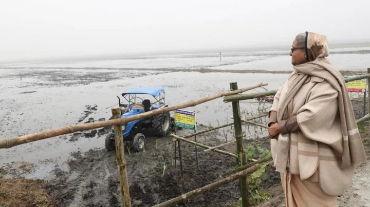 পৈত্রিক জমি পরিদর্শন করছেন বঙ্গবন্ধুকন্যা প্রধানমন্ত্রী শেখ হাসিনা। ছবি: ফোকাস বাংলা