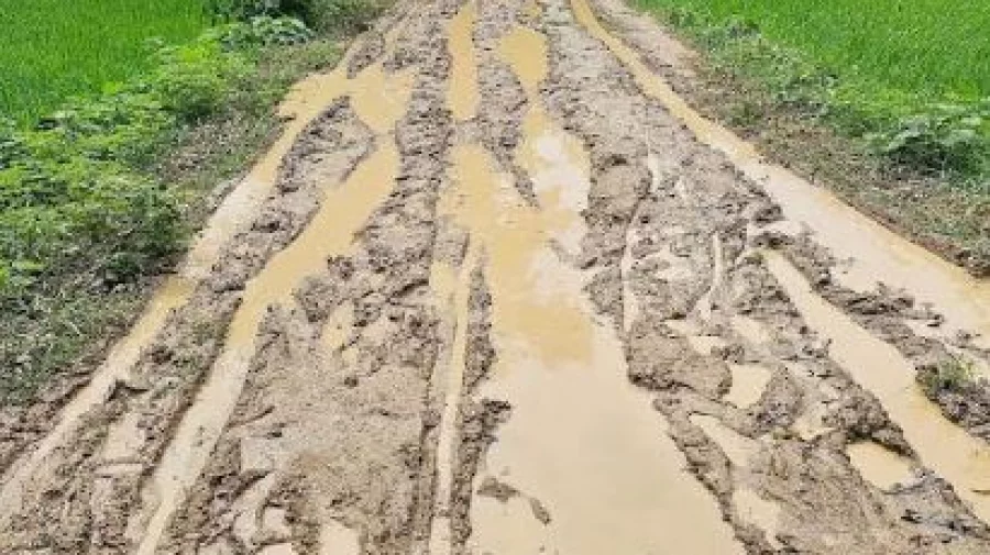 ছবি: ইত্তেফাক